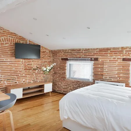 Le Cosy Spa & Office In The Heart Of Toulouse Apartamento *
