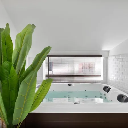Le Cosy Spa & Office In The Heart Of Toulouse Daire *